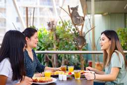 Breakfast with Koalas at Wild Life Sydney, Rp 986.940