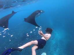 Private Trip Nusa Penida 2 Days 1 Night Includes Snorkeling by Penidago, S$ 79
