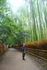 Visit the iconic Arashiyama Bamboo Grove