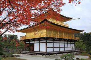 Kyoto One-Day Bus Tour | Arashiyama Walk, Kinkakuji Temple, Fushimi Inari Shrine