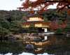 See Kinkaku-ji in fall