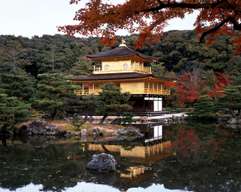 Nara Day Tour from Osaka/Kyoto: Arashiyama, Kinkakuji Temple & Nara Park | Kyoto, Japan