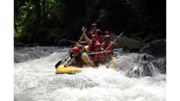 Bali Shuttle Rafting & Swing Tour Package, Rp 2.975.000