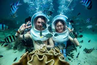 Seawalking and Three Islands Excusion in Phu Quoc - Day Tour by Namaste, Rp 1.549.890