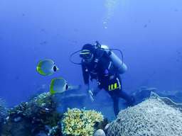 Tulamben Dive Adventure in USAT Liberty Shipwreck, RM 412