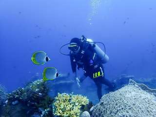 Tulamben Dive Adventure in USAT Liberty Shipwreck, 2.960.725 VND