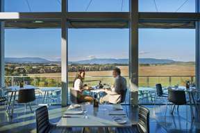 Yarra Valley Wine & Food Day Tour from Melbourne