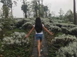 Besakih Tour - Edelweiss Garden Bali, ₱ 457.80