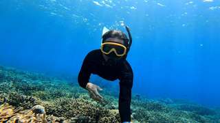 Snorkeling in Sanur, VND 689.799