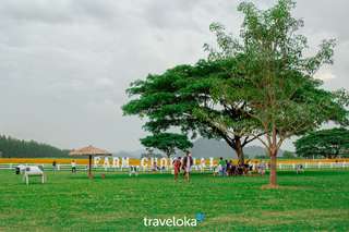 Private Transfer between Bangkok and Khao Yai