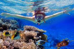 Snorkeling in Tanjung Benoa By Bali Best Adventure, Rp 450.000