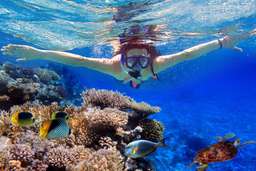 Snorkeling di Tanjung Benoa  By Bali Best Adventure, Rp 450.000