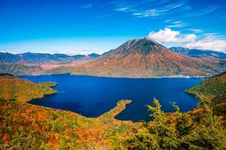 Khởi hành từ Tokyo, Nhật Bản | Chuyến đi trong ngày thuê xe riêng trọn gói 10 giờ | Trong phạm vi Tokyo ⮂ Yokohama, Kamakura/Enoshima, Núi Phú Sĩ, Hakone, Izu, Karuizawa, Nikko, Gunma, 352.981 VND