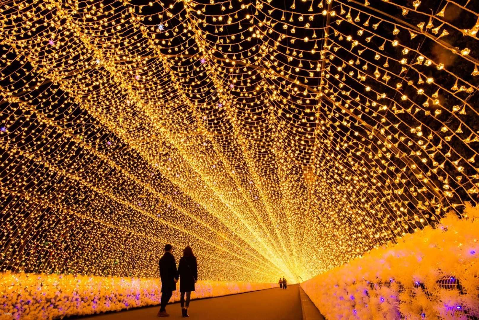 Buy Gozaisho Ropeway and Nabana no Sato Bus Tour from Osaka or Kyoto