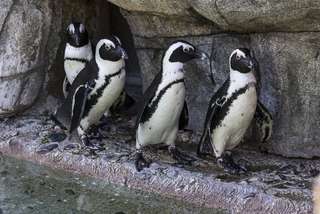 San Diego Zoo