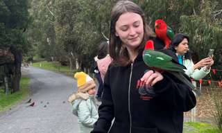 Great Ocean Road Scenic Tour