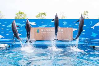 Sendai Uminomori Aquarium Ticket