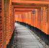 Fushimi Inari Shrine (about 70 minutes)