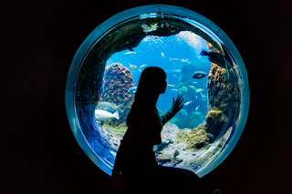 Enoshima Aquarium Ticket
