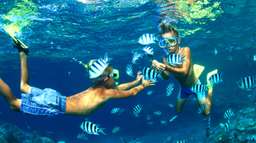 From Phuket: 3 Khai Islands Snorkeling Speedboat Tour, S$ 33.31