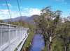 Walk among the treetops on the Tahune airwalk – a steel canopy that overlooks the forest floor 50 metres below. Breathe deep as you do a forest walk and be brave as you cross the river on a swinging bridge.