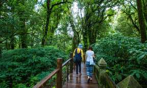 Doi Inthanon National Park Day Tour in Chiang Mai