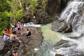 Falls to Paradise - Cedar Creek Falls Tour