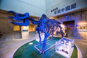 Vé Vào Cửa Bảo Tàng Hoá Thạch Zuojhen Fossil Tại Đài Nam (Tainan)