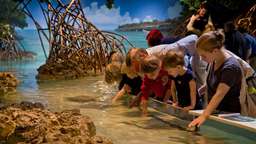 New England Aquarium Ticket & Optional 3D IMAX Movie Ticket | Boston, USD 9.99