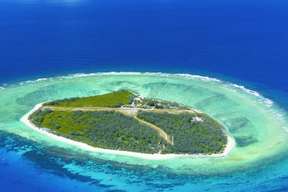 Day Tour and Flight to Lady Elliot Island, Great Barrier Reef