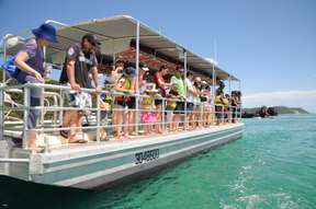 Tangalooma Marine Discovery Day Cruise with Bus Transfers from Brisbane