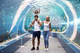 Cebu Ocean Park Admission Ticket | Philippines, USD 12.41