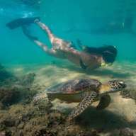 [Eco Tour] Low Isles Island & Snorkeling Tour from Port Douglas | Queensland