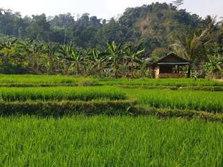 Private Trek ke Goa Garunggang Sentul - 3.5 Jam, Rp 295.000