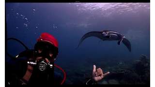 Derawan Archipelago Dive Trip - 5D4N, RM 3,688