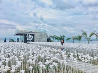 Ultimate Cebu City Tour (Shared/ Private) | Philippines, ₱ 2,579.86