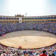 Las Ventas Bullring and Museum