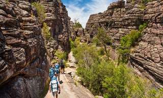 Grampians National Park Day Tour from Melbourne - 13 Hours