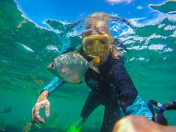 Tangalooma Snorkel the Wrecks Day Cruise with Bus Transfers from Gold Coast, Rp 2.382.019