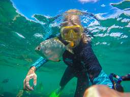 Tangalooma Snorkel the Wrecks Day Cruise with Bus Transfers from Gold Coast, Rp 2.358.384