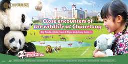 [Trung Quốc] Vé Tham Quan Công Viên Chimelong Safari | Tặng Kèm AIRSIM Miễn Phí, 3.357.584 VND