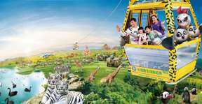 Guangzhou Chimelong Safari Park Ticket | China