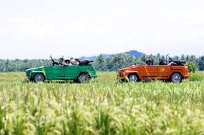 Explore Yogya Rice Fields With VW Safari