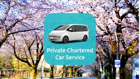 Private Car Charter in the Suburbs of Seoul: 10-Hour Optional Scenic Spot One-Day Tour | Korea