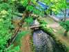 Immerse yourself in nature at Mt. Youtei Fukidashi Springs Park (30 minutes)