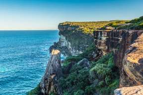 Sydney Royal National Park Private Tour