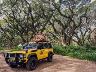 Baluran Djawatan Jeep Safari Tour - By Yukbanyuwangi, 5,228円