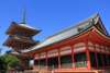 Kiyomizu-dera (explore freely, stay for about 90 minutes)