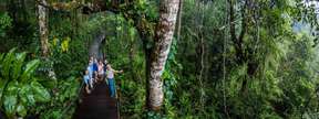 Kuranda Skyrail and Scenic Rail Day Tour 