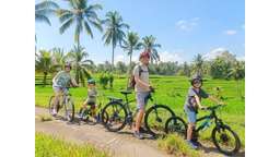 Private Tour Munduk & Bedugul Bali (Cycling & Enjoying Nature Tourism in North Bali) - ALVA TRAVELINDO, Rp 212.500